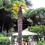 Dei Fiori
