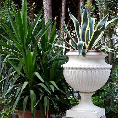 Dei Fiori