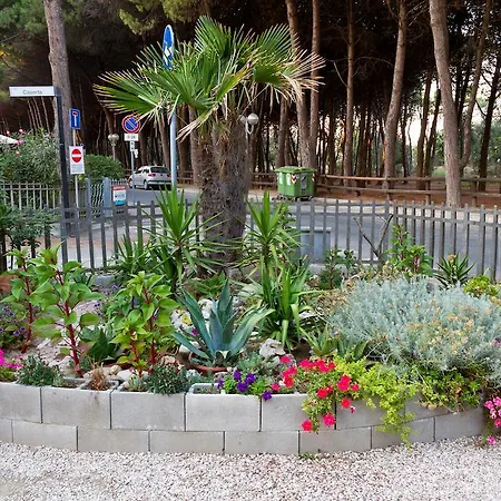 Dei Fiori