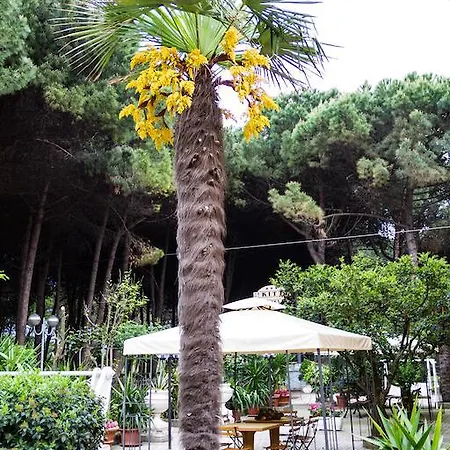 Dei Fiori